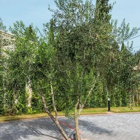 My Mediterranean In Corfu Artemis *