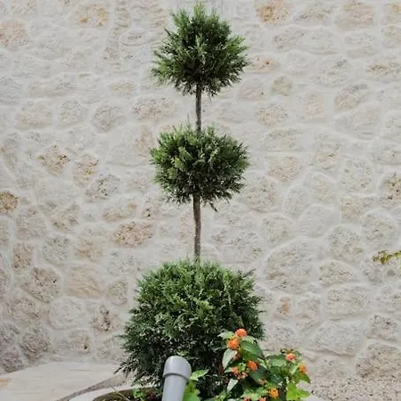 My Mediterranean In Corfu Artemis